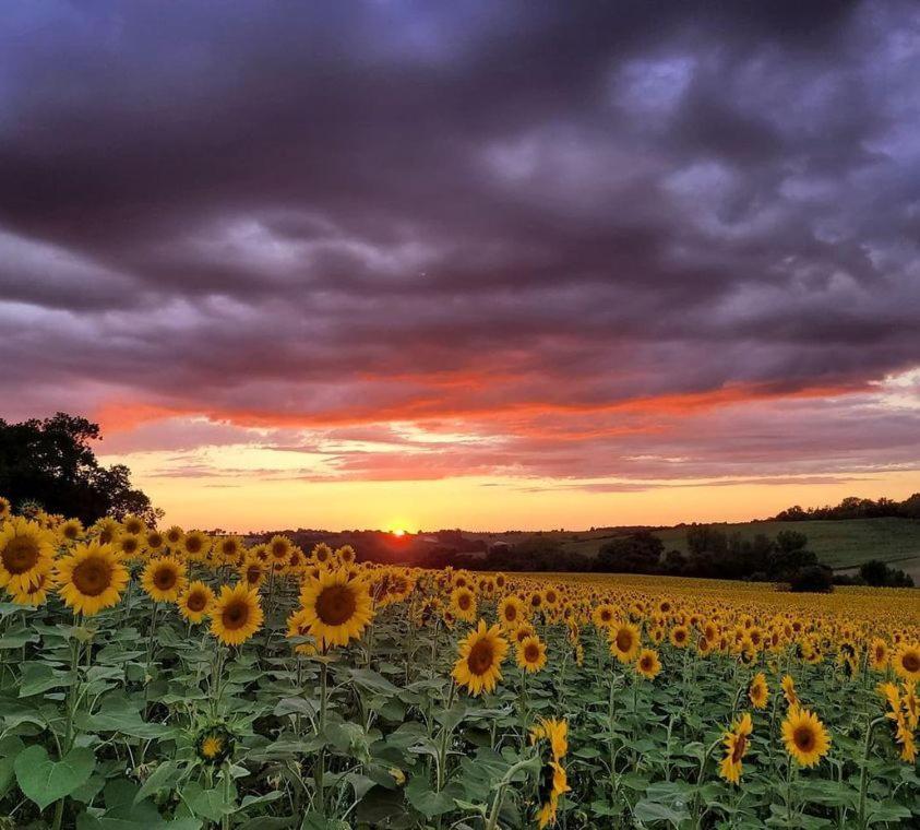 Les Ailes Du Temps Villa Caupenne-d'Armagnac ภายนอก รูปภาพ